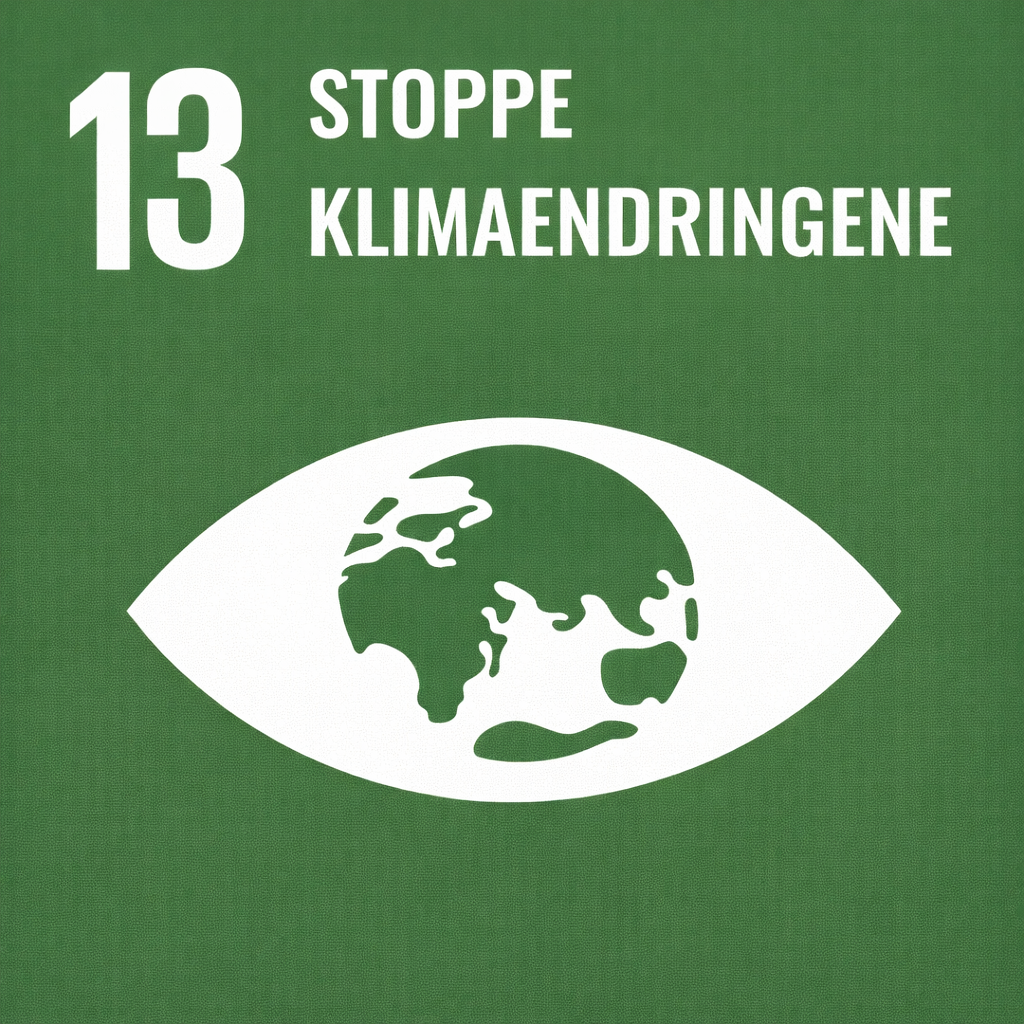 Bærekraftsmål 13