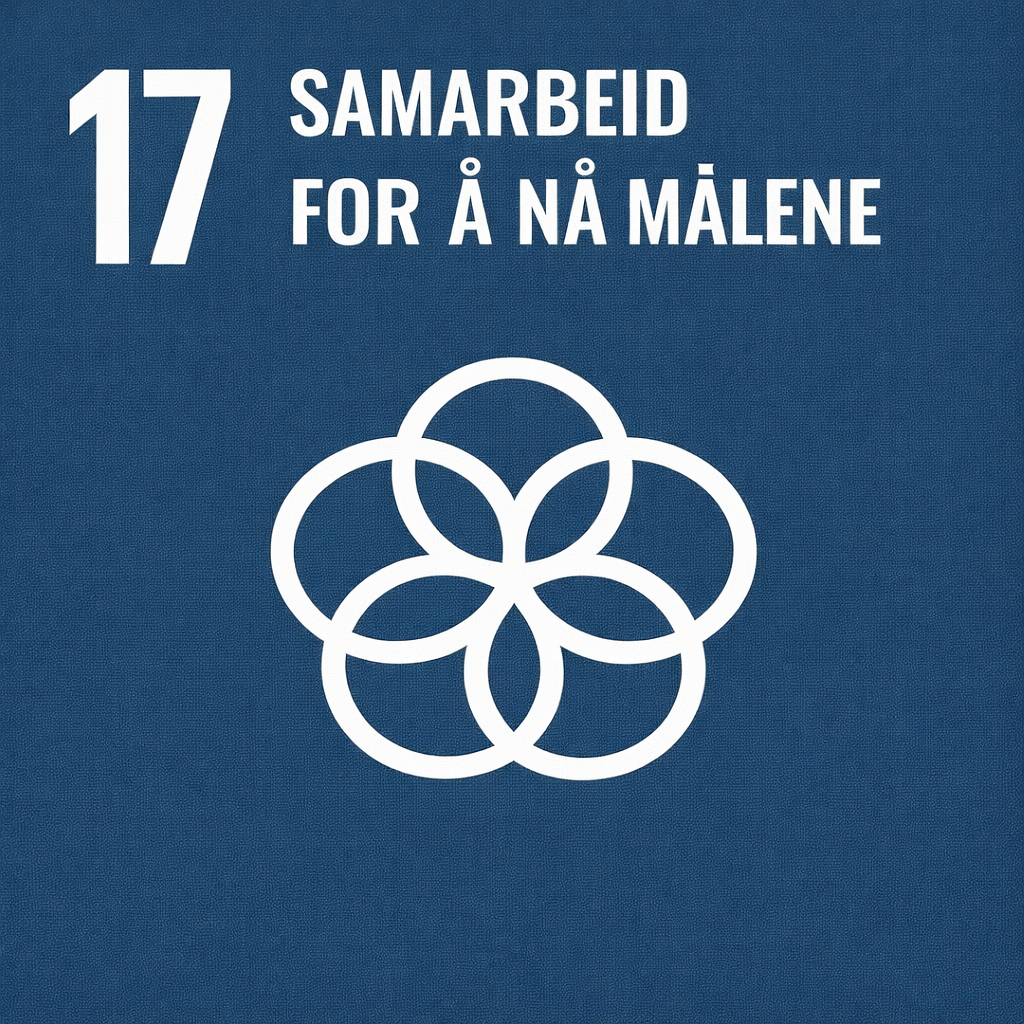 Bærekraftsmål 17